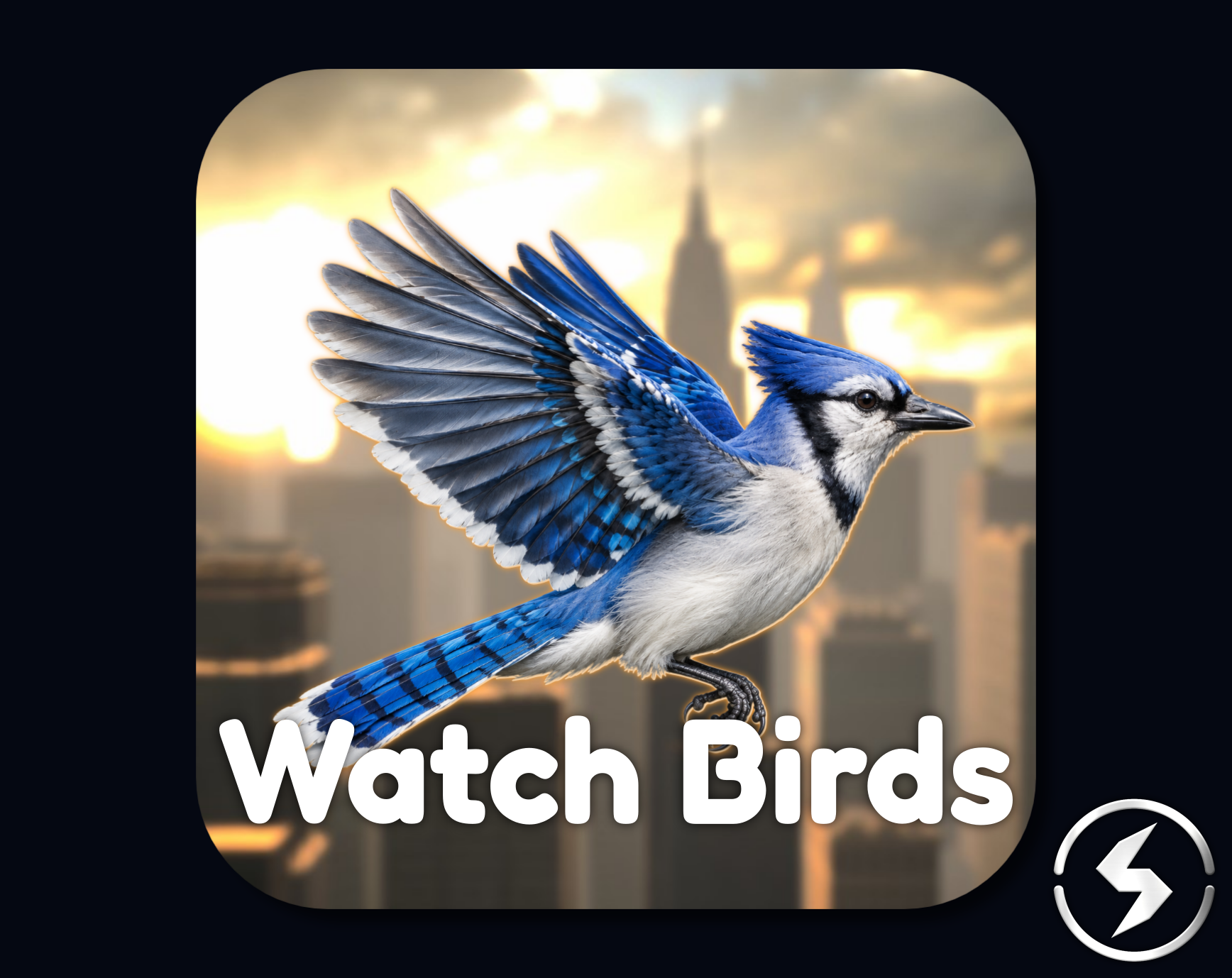 Watch Birds