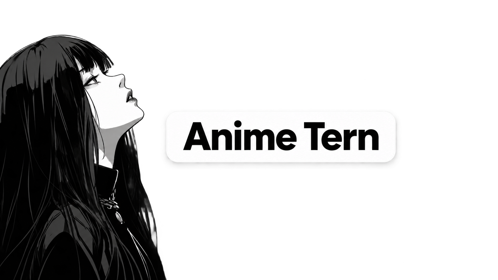 Animetern