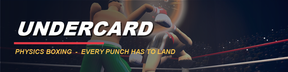 Undercard Physics Boxing