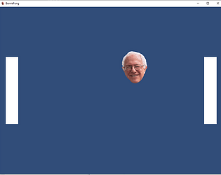 Bernie Pong