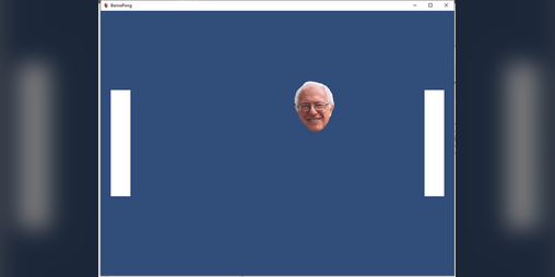 Cover image for Bernie Pong