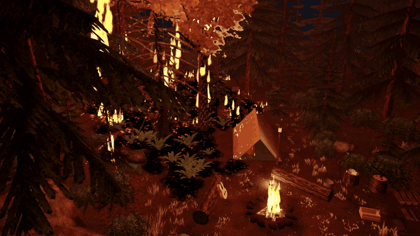 The forest on fire