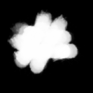 Whitopia