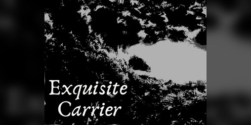 Cover image for Exquisite Carrier (or: Five of My Children In a Single Grave)