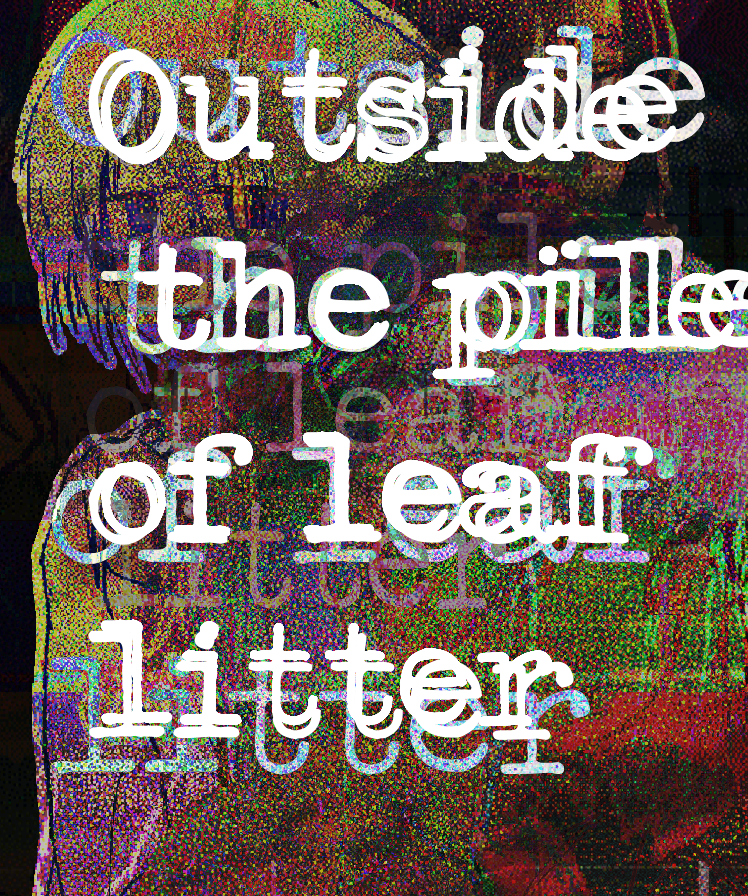 Outside the pile of leaf litter