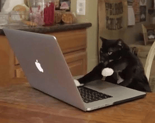 Kitty Clicker