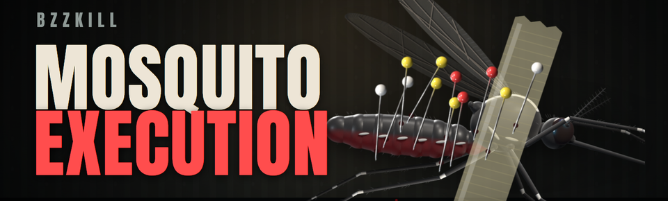 BZZKILL: Mosquito Execution