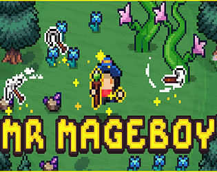 MR MAGEBOY