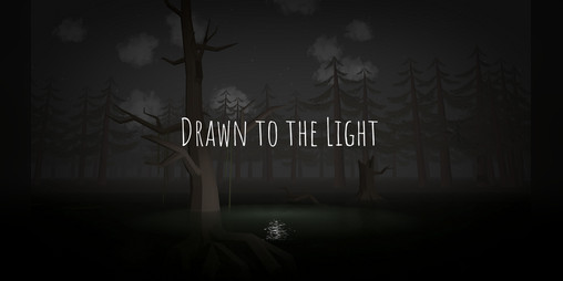 Cover image for Drawn to the Light: Glimmer in the Dark