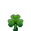 FOLIUM