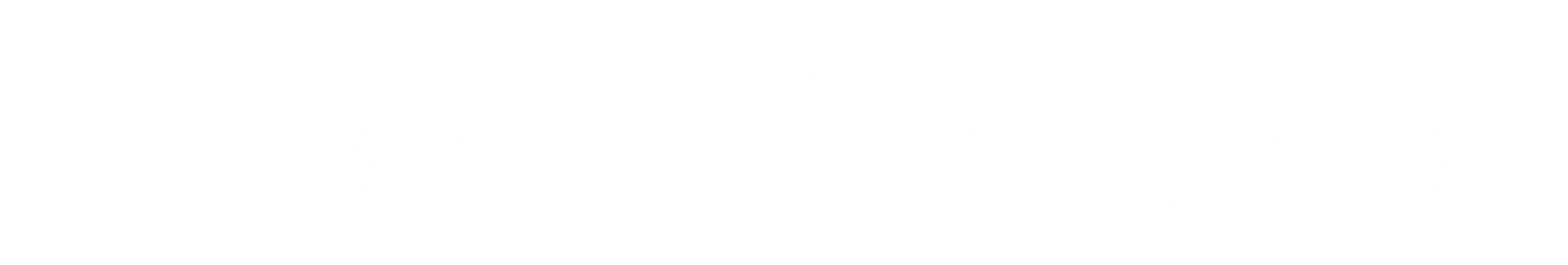 FLESH ENGINE