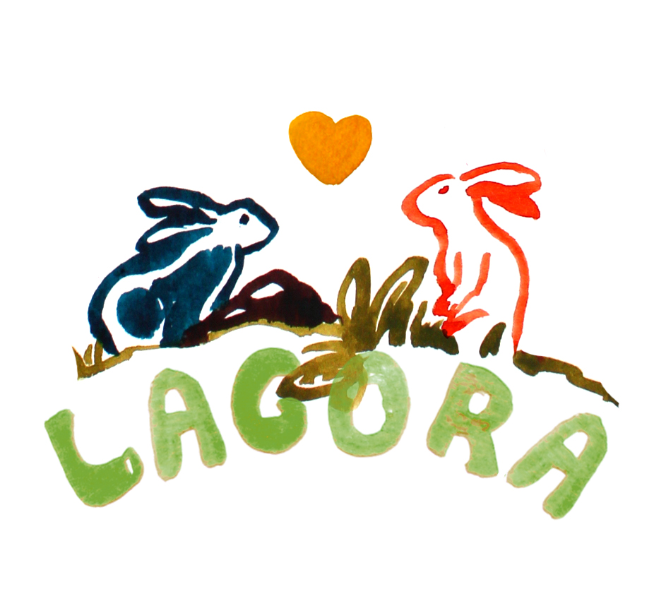 Cover image for LAGORA