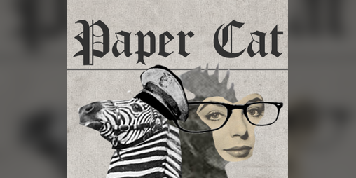 Cover image for Papercat