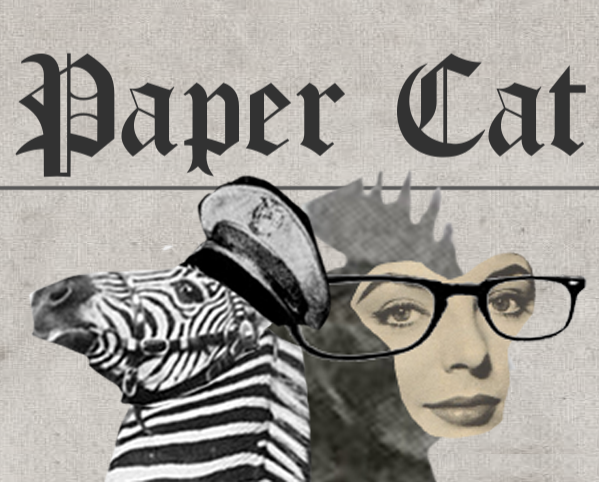 Cover image for Papercat