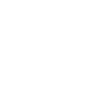 Pin - Spirit of light