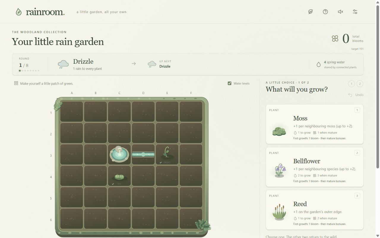 Rainroom's opening six-by-six garden has a spring, fern and moss, beside three plant choices.