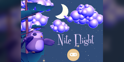 Cover image for Nite Flight