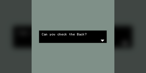 Cover image for Can you check the Back?