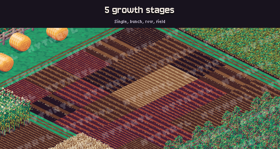 5 growth stages
