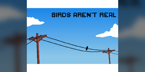 Cover image for Birds aren't Real