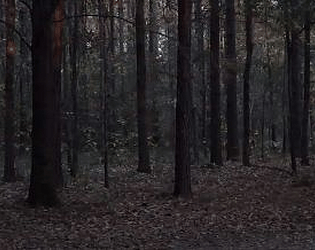 Marble Hornets Out of Frame [Free] [Visual Novel] [Windows] [macOS] [Linux] [Android]