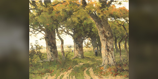 Cover image for On the Old Dirt Road