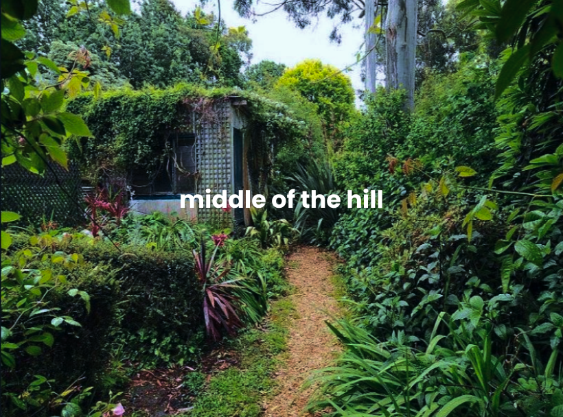 Cover image for middle of the hill