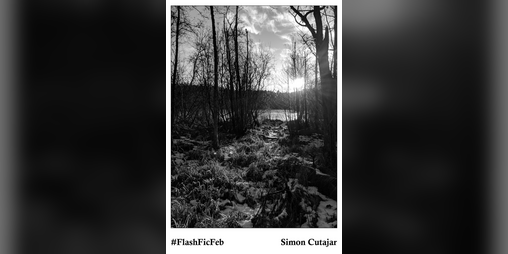 Cover image for #FlashFicFeb