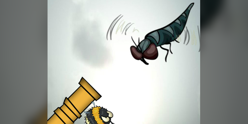 Cover image for Lots of Flies