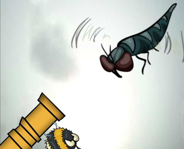 Cover image for Lots of Flies