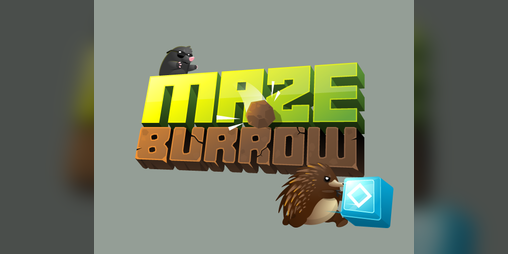 Cover image for Maze Burrow
