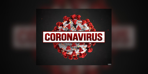 Cover image for Coronavirus - The game