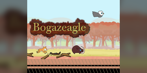 Cover image for BoGazEagle