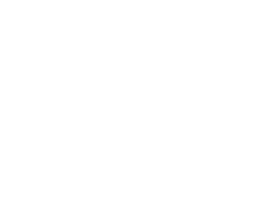 CAR THE GAME