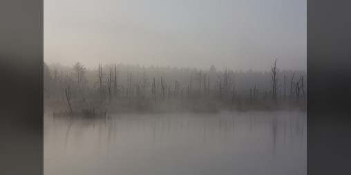 Cover image for Arah's Mire