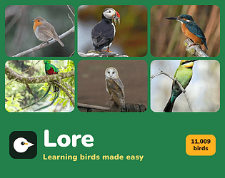 Lore
