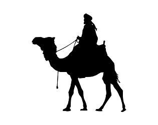 Grand Theft Camel