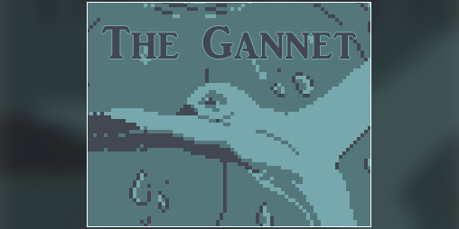 Cover image for The Gannet