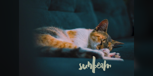 Cover image for Sunbeam