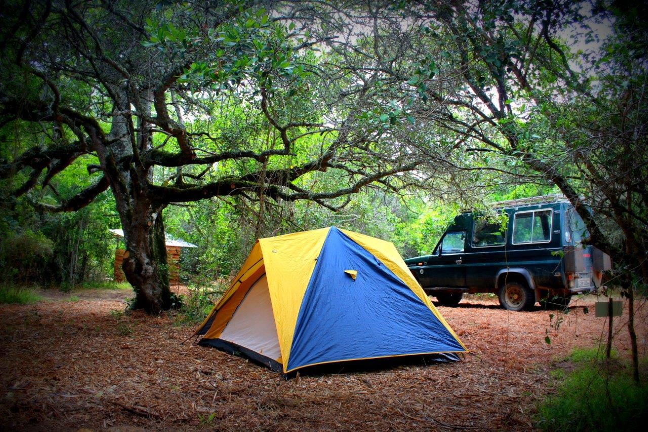 Camping site. Чабан Кале кемпинг. Автокемпинг Чабан Кале. Автокемпинг Робинзон Крузо. Пейзаж с палаткой.