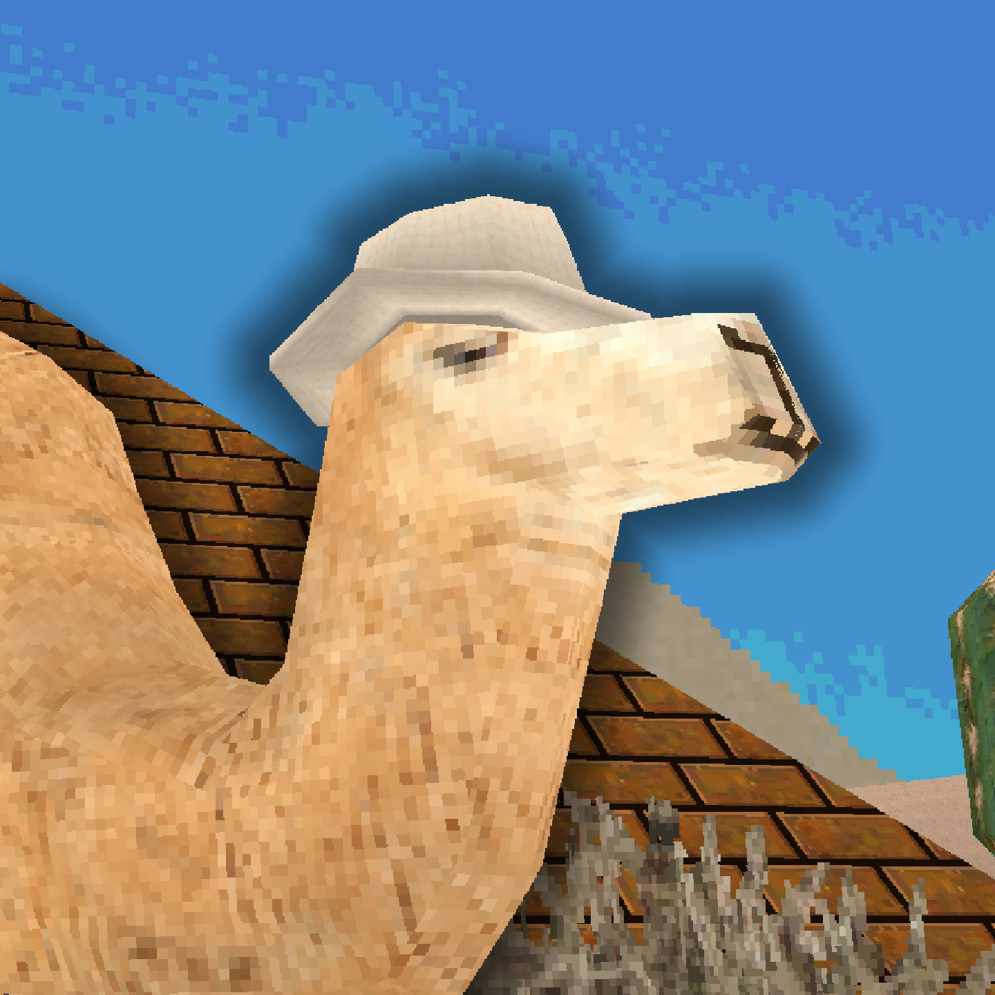 Camel Camel by Zaphe