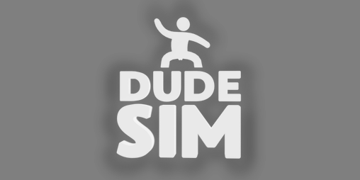 Cover image for Dude Sim