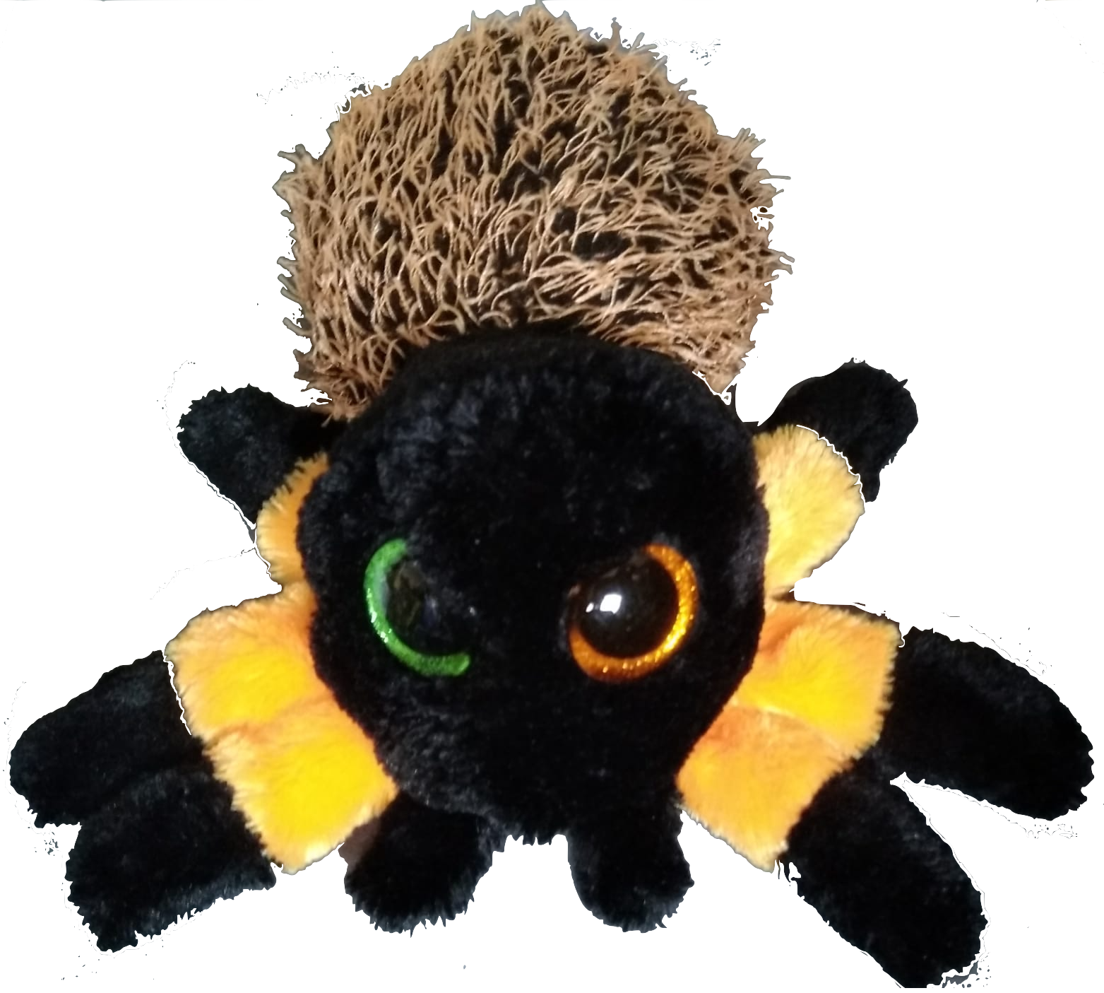 Pet Spider (and a bedtime story) by Decodoku