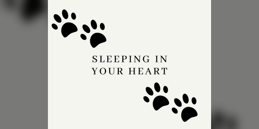 Cover image for Sleeping in Your Heart