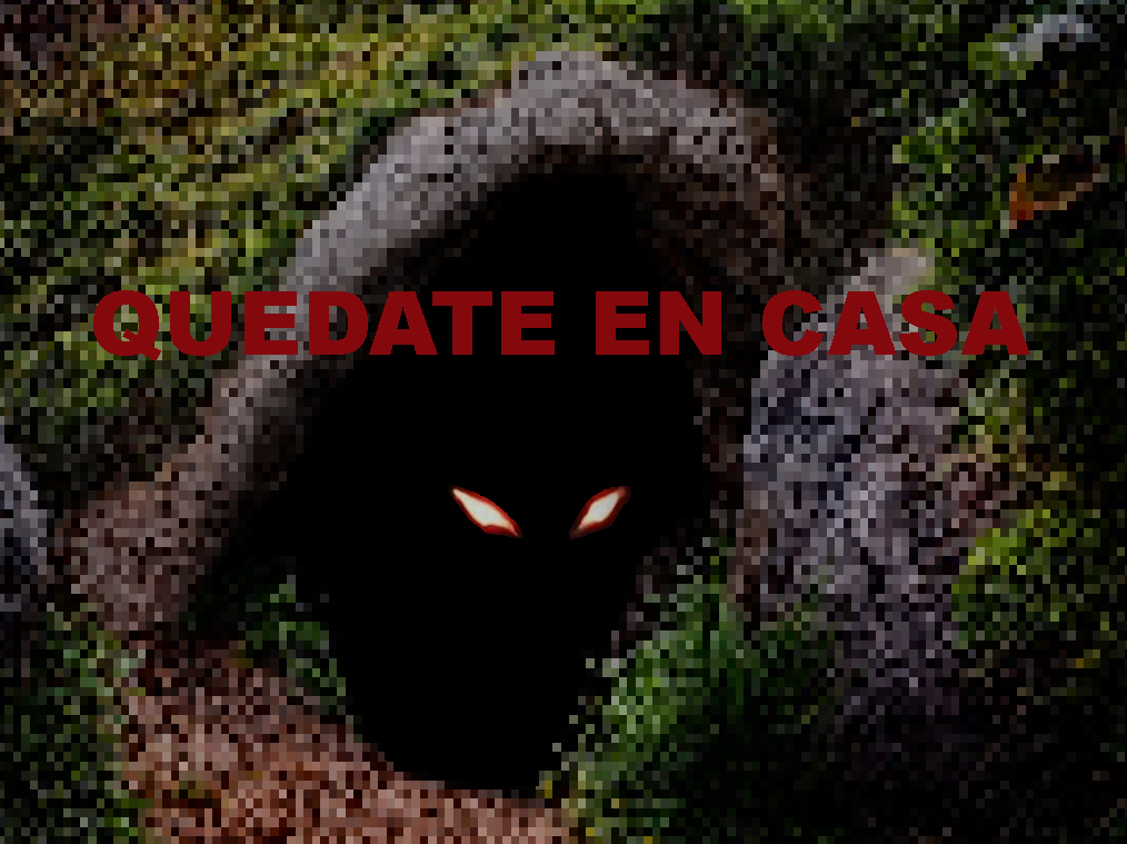 Quedate en casa cover