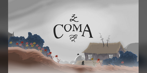 Cover image for Coma