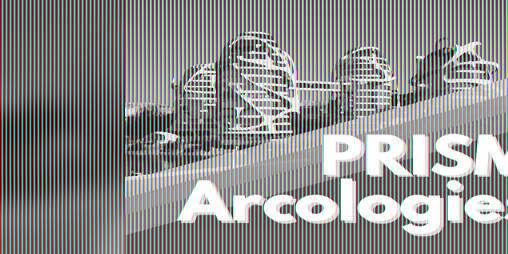 Cover image for PRISM Arcologies