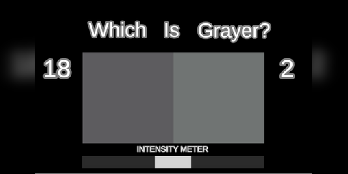 Cover image for Which Is Grayer?