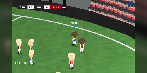 Cover image for Aussie Rules Pocket Footy 2