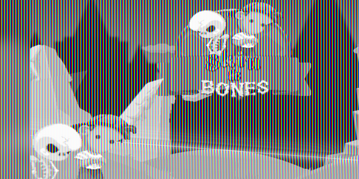 Cover image for Skin & Bones